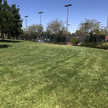 All American Park - Dog Parks Near Me - Las Vegas, Nevada