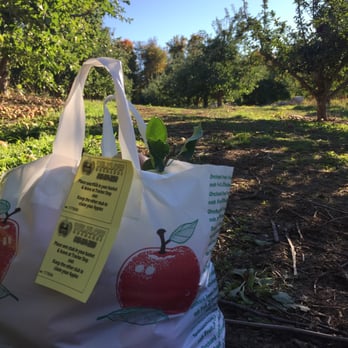 Wilklow Orchards - Fruits & Veggies Near Me - Highland, New York