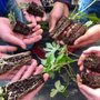 Photo of The Wilderness Greenhouse - Diakon Youth Services