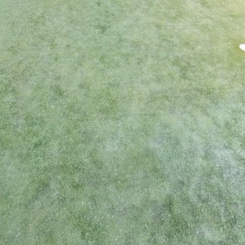 Arizona Luxury Lawns - Uneven texture of putting green due to not being rolled out - Artificial Turf Near Me - Tucson, Arizona Arizona Luxury Lawns - Uneven texture of putting green due to not being rolled out - Artificial Turf Near Me - Tucson, Arizona