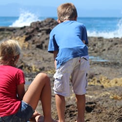 Look Who's Learning Preschool - Extended Daycare field trip (Tide pools)