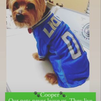 Lakeside Animal Clinic - COOPER - Veterinarians Near Me - Houston, Texas Lakeside Animal Clinic - COOPER - Veterinarians Near Me - Houston, Texas