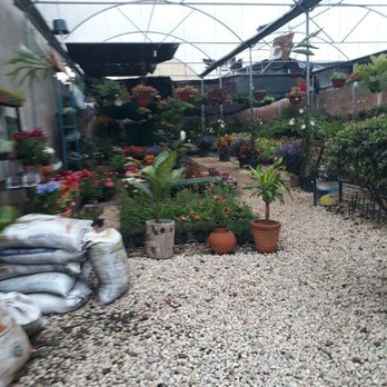 Vivero Vida Verde - Nurseries & Gardening Near Me - Oaxaca, OAX