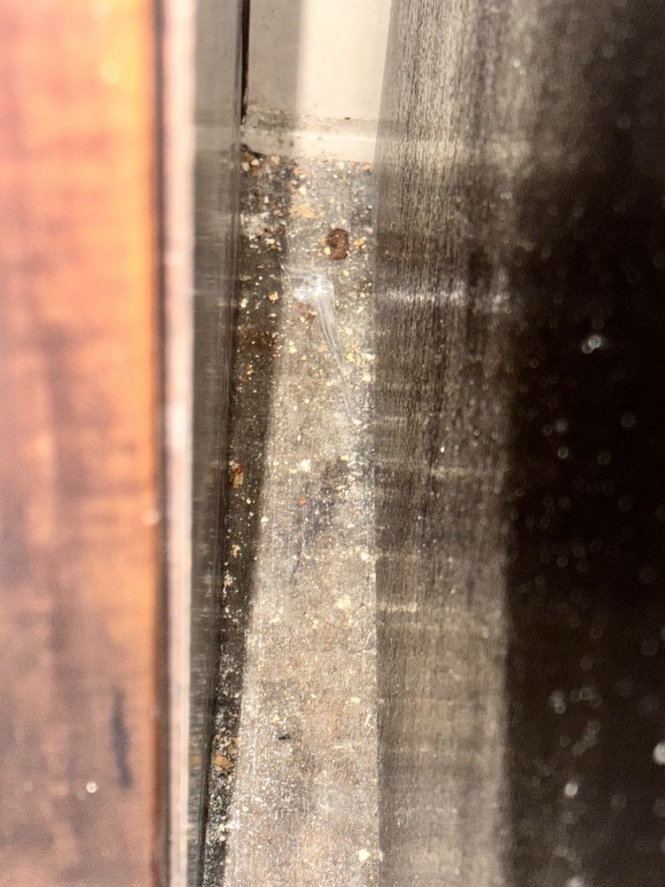 The District on Apache - property management company in Tempe, AZ