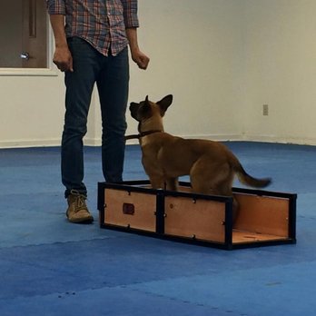 AweDogs Dog Training - Awedogs trainer training German shepherd - Pet Training Near Me - Mooresville, North Carolina AweDogs Dog Training - Awedogs trainer training German shepherd - Pet Training Near Me - Mooresville, North Carolina