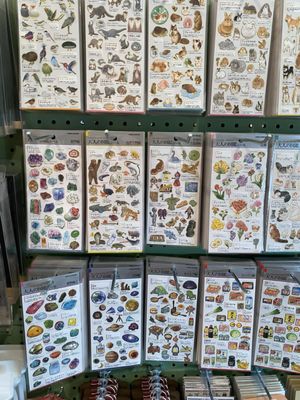 JT Trading Post by null