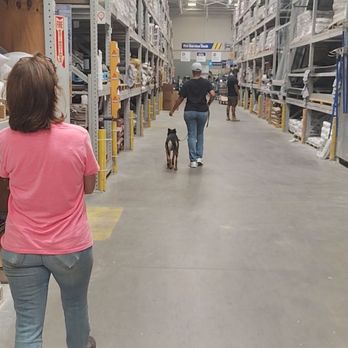 Lucky K9s - Leash training - Pet Training Near Me
