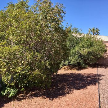 Savage Brother's Landscape - Before - Landscaping Near Me - Las Vegas, Nevada