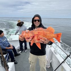 Amethyst Fishing Charters
