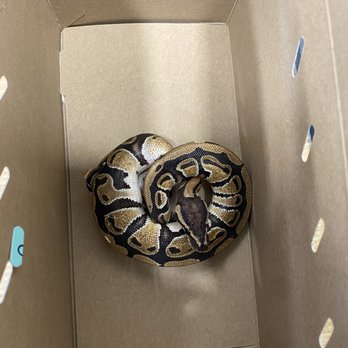 Petco - Pet Stores Near Me - Union City, California