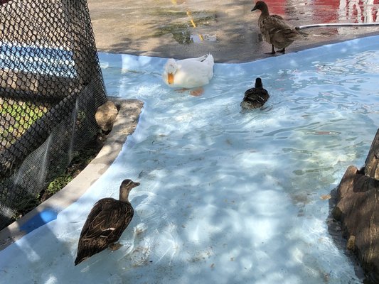 Stew Leonard's by null