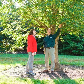 Bartlett Tree Experts - Tree Services Near Me - Kennett Square, Pennsylvania Bartlett Tree Experts - Tree Services Near Me - Kennett Square, Pennsylvania