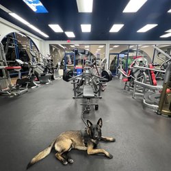 Fitness of America - The gym