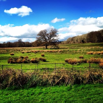 Killarney National Park - Amazing colors - Parks Near Me