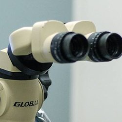 Endodontics of Colorado