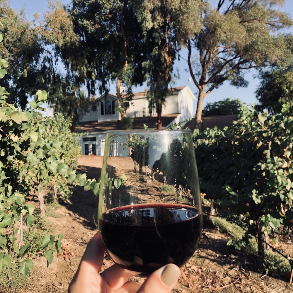 The Vine House Bed & Breakfast - Wine in the vineyard ~ incredibly gorgeous grounds. - Bed & Breakfast Near Me - Temecula, California