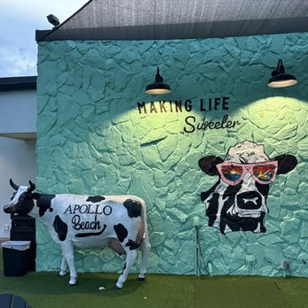 American Honey Creamery - Mascot in the outside seating area - Coffee & Tea Near Me - Apollo Beach, Florida American Honey Creamery - Mascot in the outside seating area - Coffee & Tea Near Me - Apollo Beach, Florida