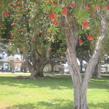 Media Park - Parks Near Me - Culver City, California Media Park - Parks Near Me - Culver City, California