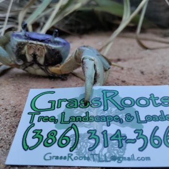 Grassroots Tree, Landscape, & Loader Services - Landscape Design - Landscaping Near Me Grassroots Tree, Landscape, & Loader Services - Landscape Design - Landscaping Near Me