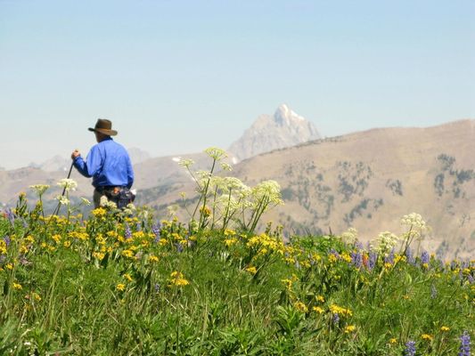 The Hole Hiking Experience by null