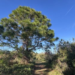 Lake Indrio Preserve