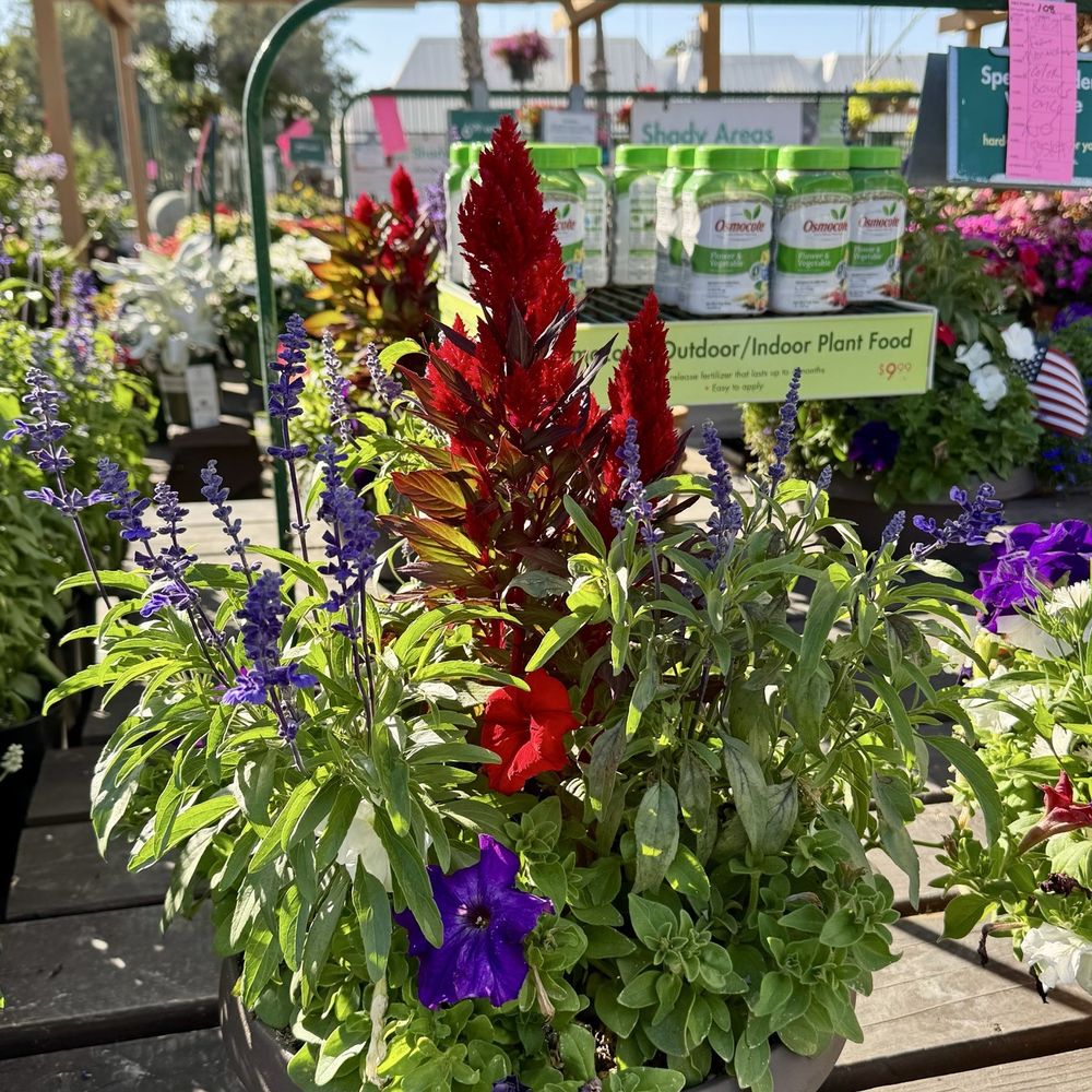 Armstrong Garden Centers - Nurseries & Gardening Near Me - Santa Monica, California