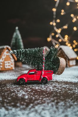 Christmas Tree Removal - We are still taking on Christmas Tree Removal jobs. Call us to schedule yours today! Christmas Tree Removal - We are still taking on Christmas Tree Removal jobs. Call us to schedule yours today!