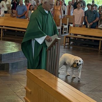 Resurrection Catholic Church - Check out what is in the dog's mouth - Churches Near Me - Miramar Beach, Florida Resurrection Catholic Church - Check out what is in the dog's mouth - Churches Near Me - Miramar Beach, Florida