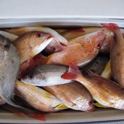 Rick's Yellow Bait House formerly Jacks Bait and Tackle - Caught with jack's bait& tackle HH