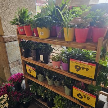 Ralphs - Grocery Near Me - Studio City, California Ralphs - Grocery Near Me - Studio City, California