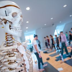 Element Yoga Berlin
