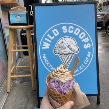 Wild Scoops - Blueberry, Baked Alaska Style - Desserts Near Me - Anchorage, Alaska