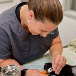 Guardian Veterinary Care