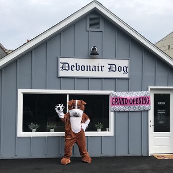 Debonair Dog - Pet Groomers Near Me - Haddonfield, New Jersey Debonair Dog - Pet Groomers Near Me - Haddonfield, New Jersey