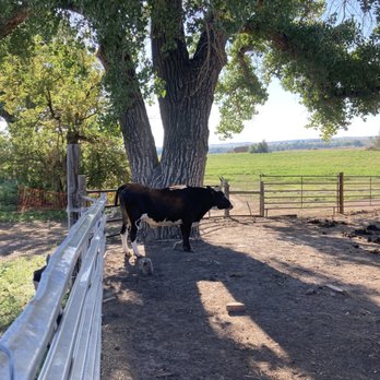 7th Generation Farm - Farms Near Me - Louisville, Colorado