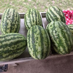 Hensley Produce