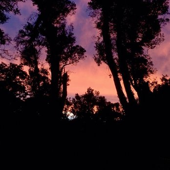 The Canopy Restaurant - Our sunset table views changed colors every minute! - New Zealand Near Me - Franz Josef, WTC