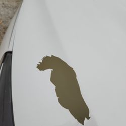 In & Out Car Wash