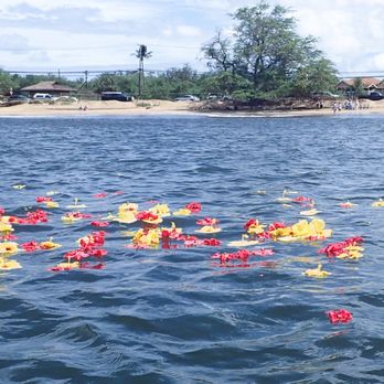 Aloha Ash Scattering - Funeral Services & Cemeteries Near Me