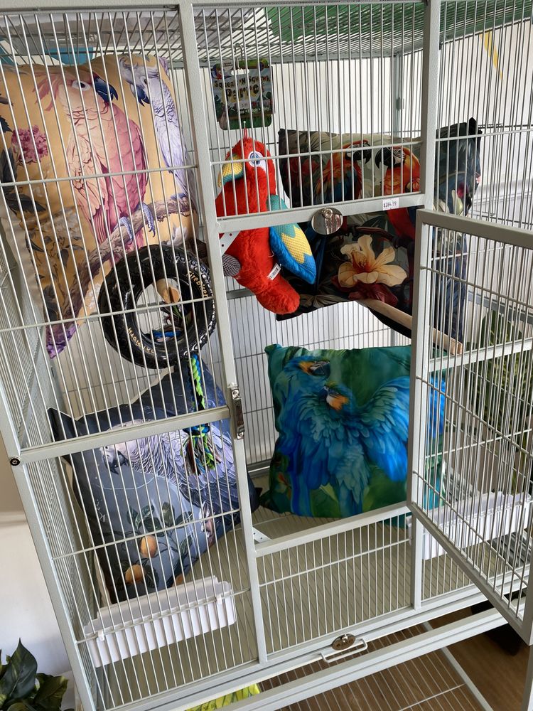 Bird Boutique Image