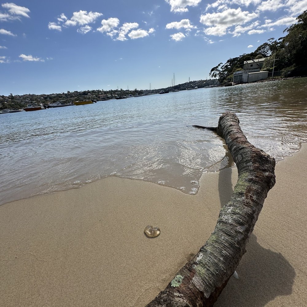 Stewchat...: 2023, image size:1000x1000