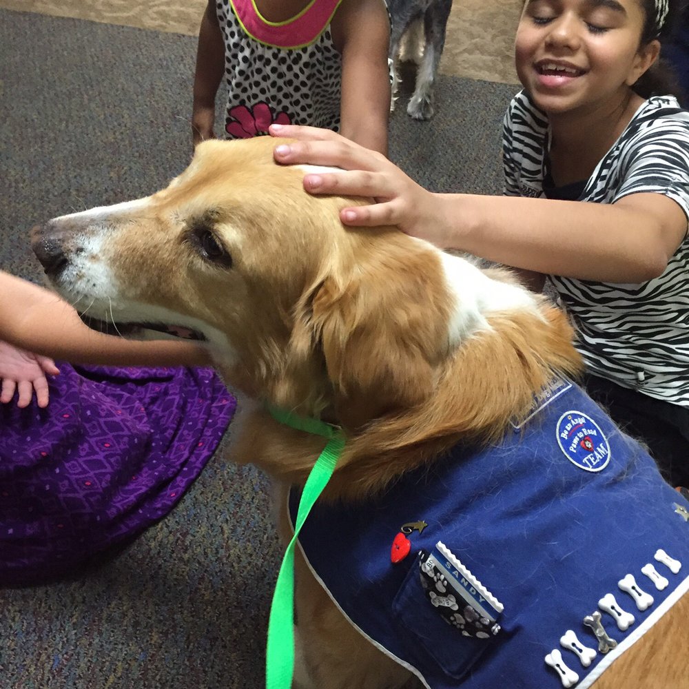 Soapy's Dog Wash - Always getting petted, hugged and kissed by the kids, so keeping him clean is work! - Pet Groomers Near Me - Apopka, Florida Soapy's Dog Wash - Always getting petted, hugged and kissed by the kids, so keeping him clean is work! - Pet Groomers Near Me - Apopka, Florida