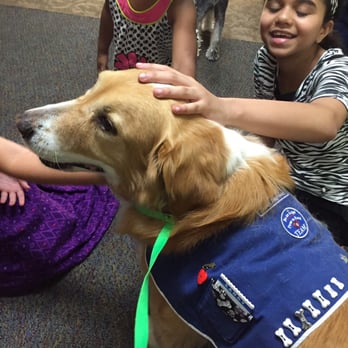 Soapy's Dog Wash - Always getting petted, hugged and kissed by the kids, so keeping him clean is work! - Pet Groomers Near Me - Apopka, Florida Soapy's Dog Wash - Always getting petted, hugged and kissed by the kids, so keeping him clean is work! - Pet Groomers Near Me - Apopka, Florida