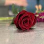 Photo of Conroy's Flowers