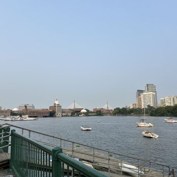 ArtBar Cambridge - View - New American Near Me - Cambridge, Massachusetts
