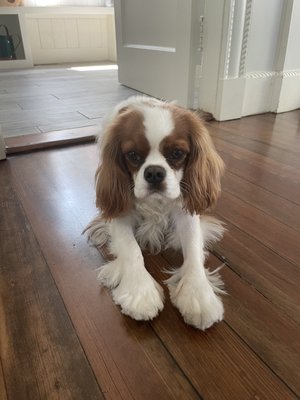 Crate Escape by null