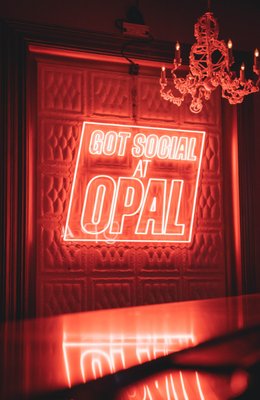 OPAL SOCIAL CLUB - 253 Photos & 316 Reviews - 251 Castro St