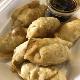 Chicken Dumpling