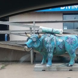 Decorated cow out front