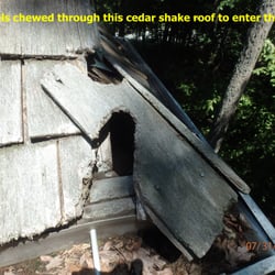 Fred Herndon Home Inspections Inc